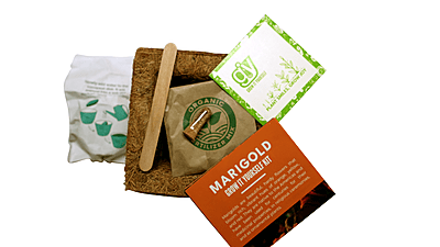 Plantable GIY Kit | Grow It Yourself Kit| Fertiliser Mix Seeds | Round | Set of 4